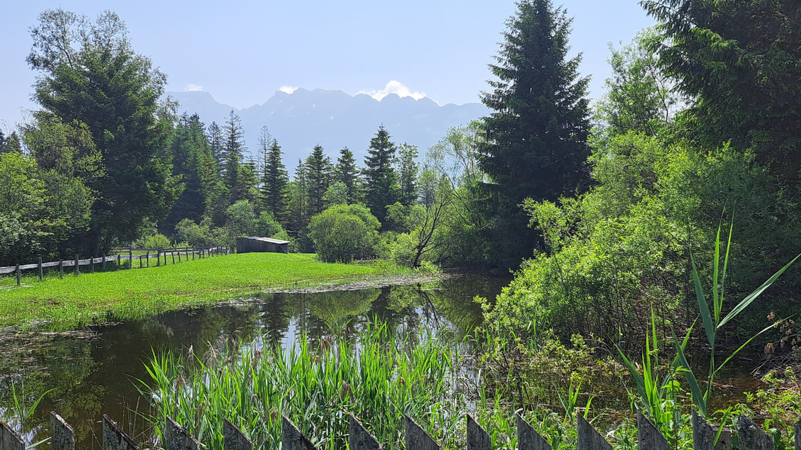 Eine ruhige Naturlandschaft mit einem kleinen Teich und üppigem Grün. Im Hintergrund sind Berge und ein klarer Himmel zu sehen. | © Eselalm