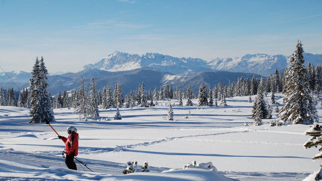 Ein Mann, der in einer verschneiten Landschaft mit Bergen und Tannenbäumen Ski fährt. Der klare Himmel und die glitzernde Schneedecke verleihen der Szenerie eine friedliche Atmosphäre. | © Reiteralm Bergbahnen