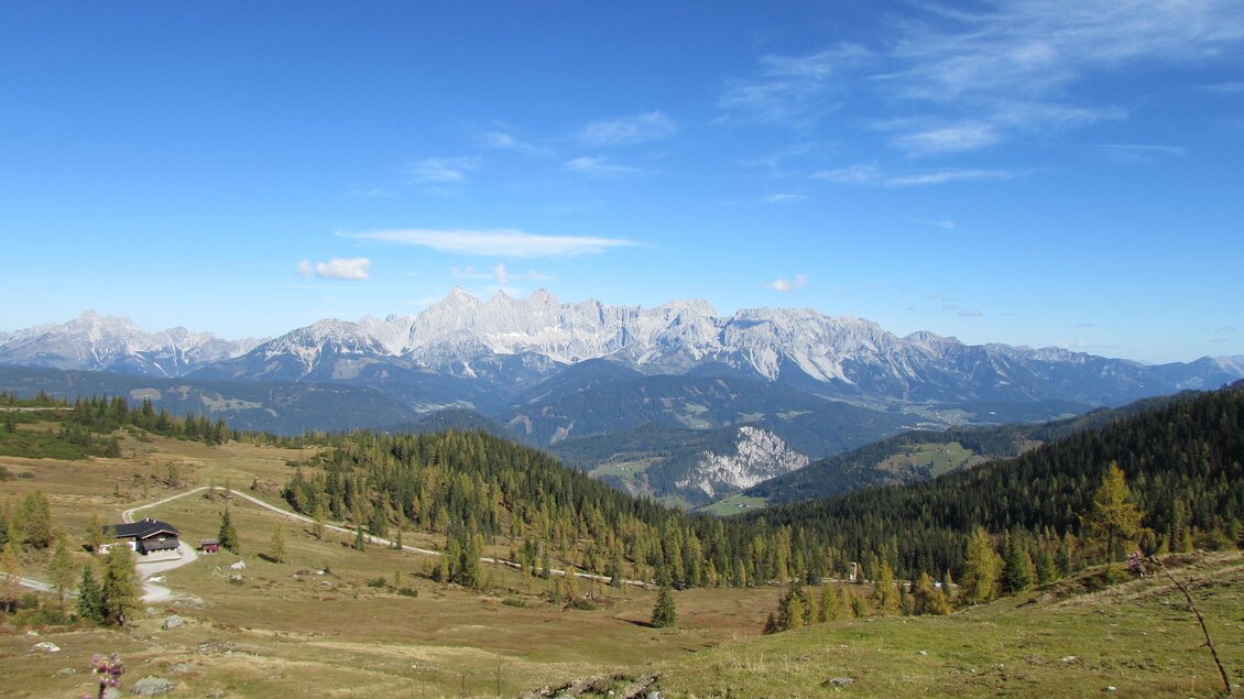 Eine beeindruckende Berglandschaft mit klaren blauen Himmel und hohen Gipfeln. Im Vordergrund sind saftige Wiesen und Nadelbäume zu sehen.