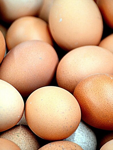 Gruber-Eier-Murtal-Steiermark | © Pixabay