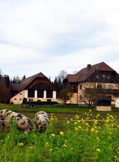 Familie-Jandl-Außenansicht-Murtal-Steiermark | Familie Jandl | © Familie Jandl