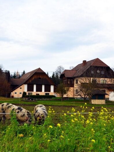 Familie-Jandl-Außenansicht-Murtal-Steiermark | © Familie Jandl