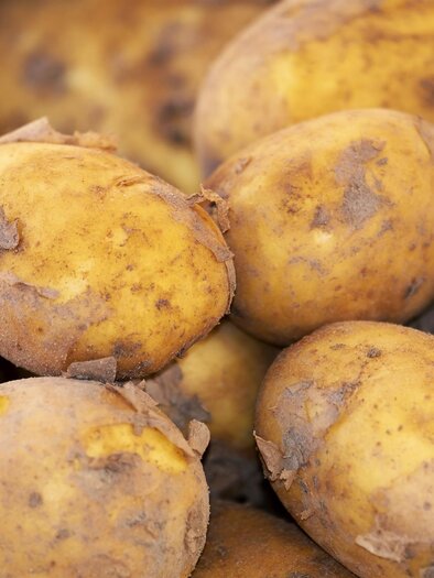 Peinhopf-Gaal-Murtal-Steiermark | © Pixabay