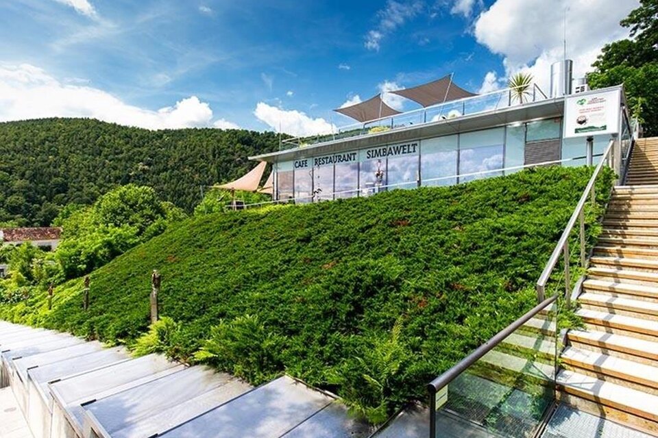 Cafe Simbawelt - Impression #1 | © Tierwelt Herberstein