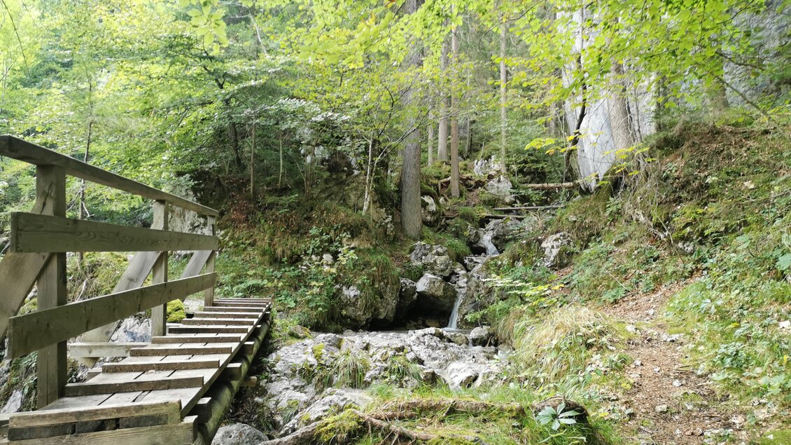 Ein malerischer Waldweg mit einer Holzbrücke und einem kleinen Bach. Umgeben von grünen Bäumen und felsigen Bögen. | © Landentwicklung Steiermark