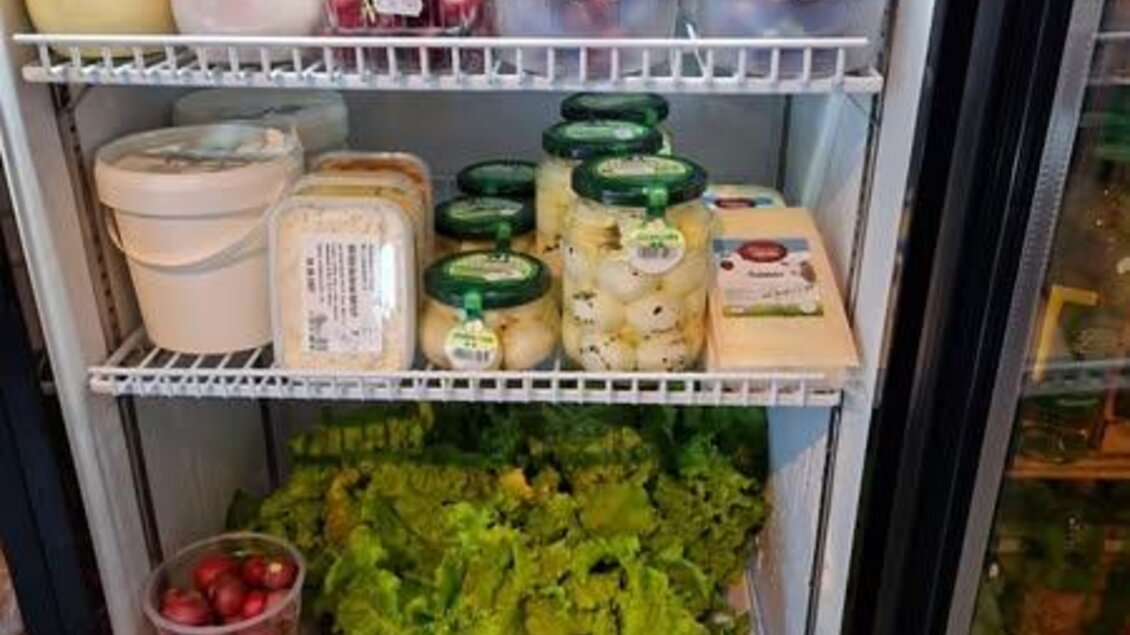 Ein Kühlschrank mit frischen Lebensmitteln. Darunter sind Salat, Eier, Joghurt und verschiedene Soßen. | © Bettina Fiedler