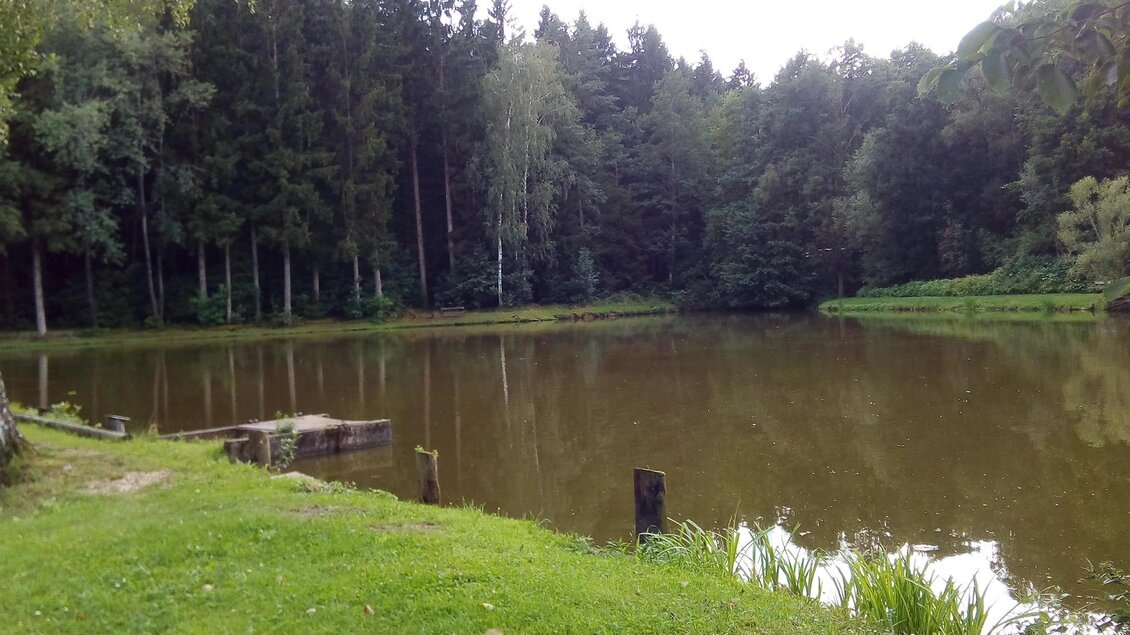 Karner Teich_Blick auf den Teich_Oststeiermark | © Tourismusverband Oststeiermark