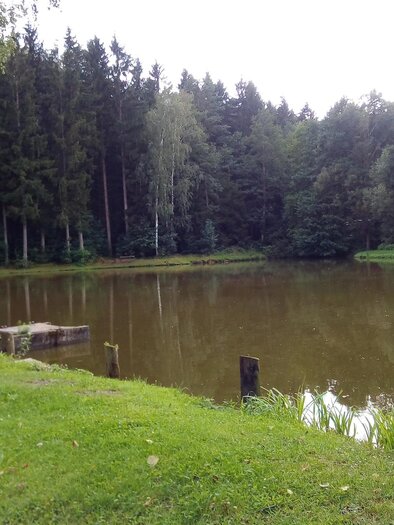 Karner Teich_Blick auf den Teich_Oststeiermark | © Tourismusverband Oststeiermark