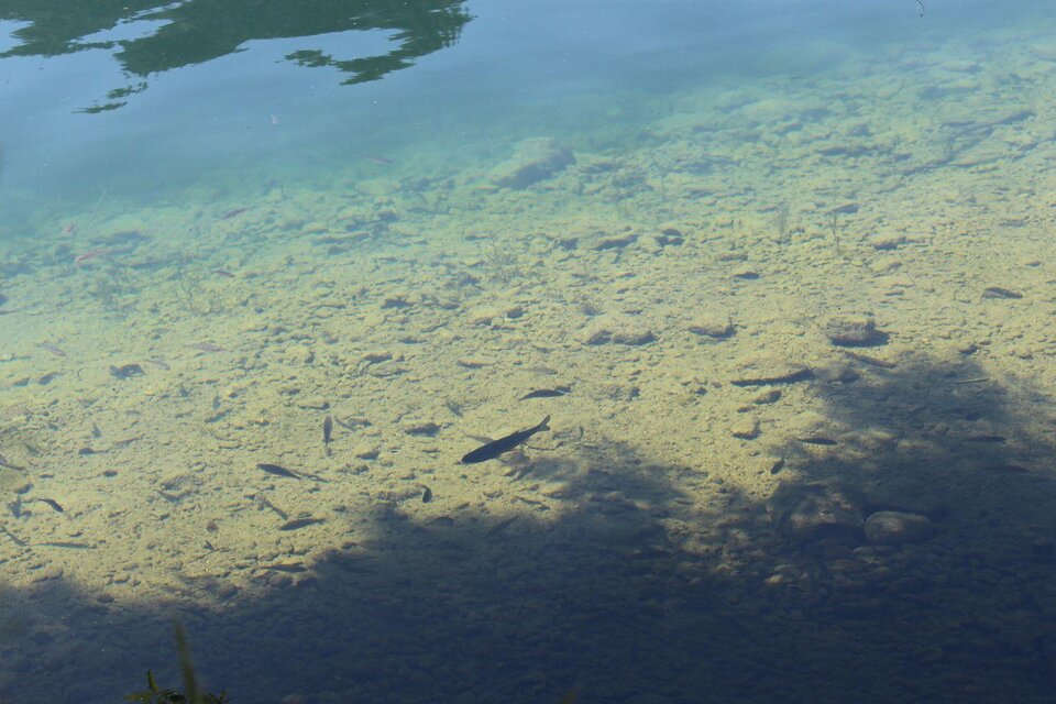 Fishing at the Grundlsee - Impression #1 | © Viola Lechner