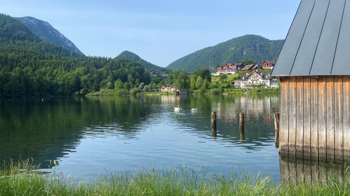 Eine ruhige Landschaft mit einem klaren See und umgebenen Bergen. Im Vordergrund steht ein Holzgebäude und Schwäne schwimmen im Wasser. | © Bettina Scheck