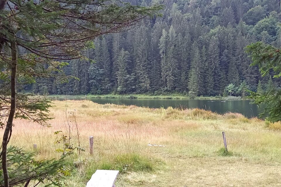 Fishing Spechtensee - Impression #1 | © TVB Ausseerland Salzkammergut/Raunigg