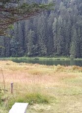 Spechtensee in Wörschachwald | © TVB Ausseerland Salzkammergut/Raunigg | TVB Ausseerland Salzkammergut/Raunigg | © TVB Ausseerland Salzkammergut/Raunigg