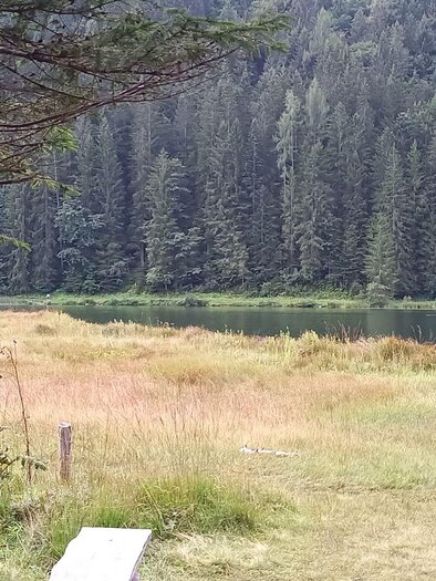 Spechtensee in Wörschachwald | © TVB Ausseerland Salzkammergut/Raunigg