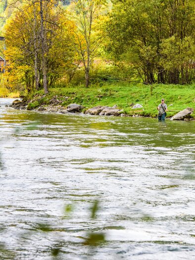 A fisherman stands on the bank of a river, surrounded by green trees. In the background, a bridge is visible spanning the water. | © Tourismusverband Murau