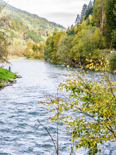 A quiet river flows through a green landscape with colorful trees. In the background, a red train can be seen. | © Tourismusverband Murau