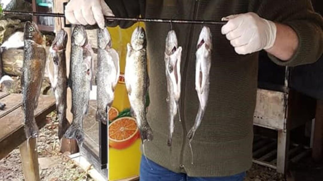 Ein Mann steht unter einem überdachten Bereich und hält mehrere frisch gefangene Fische auf einem Stock. Er trägt eine grüne Jacke und Gummistiefel. | © Alpengasthof Strutz