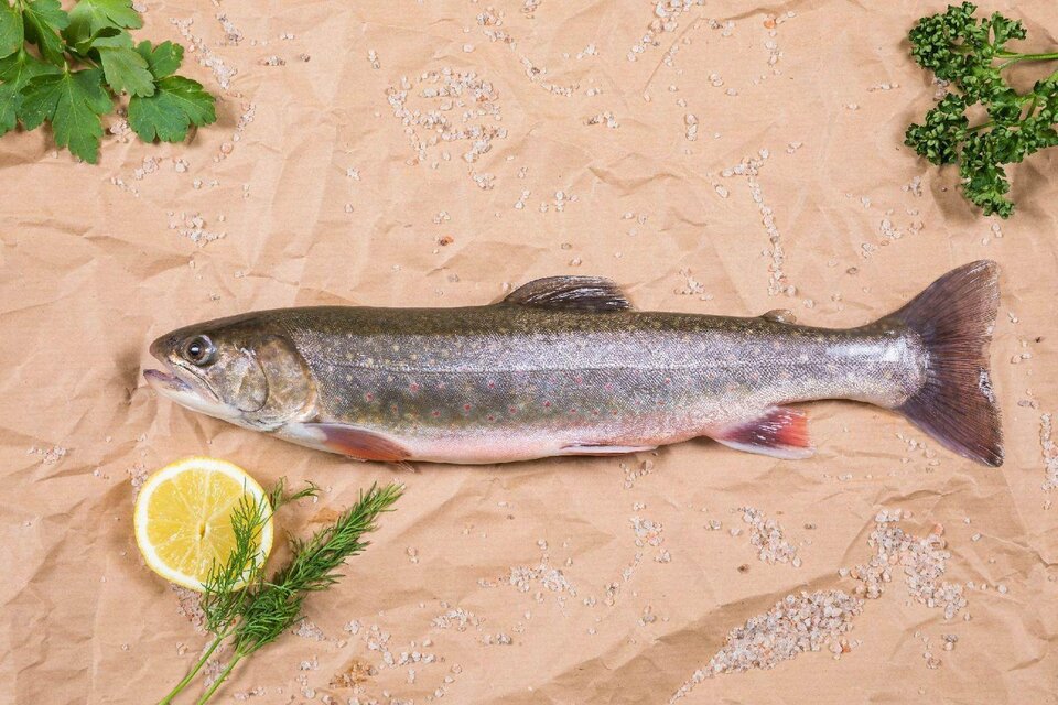 Fishery Ausseerland - Fischdepot Kainisch - Impression #1 | © Fischerei Ausseerland/Martin Huber