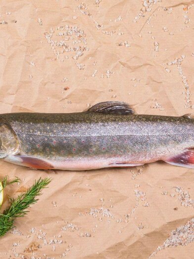 Char from the Ausseerland | Fischerei Ausseerland/Martin Huber | © Fischerei Ausseerland/Martin Huber