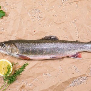 Saibling aus dem Ausseerland | Fischerei Ausseerland/Martin Huber