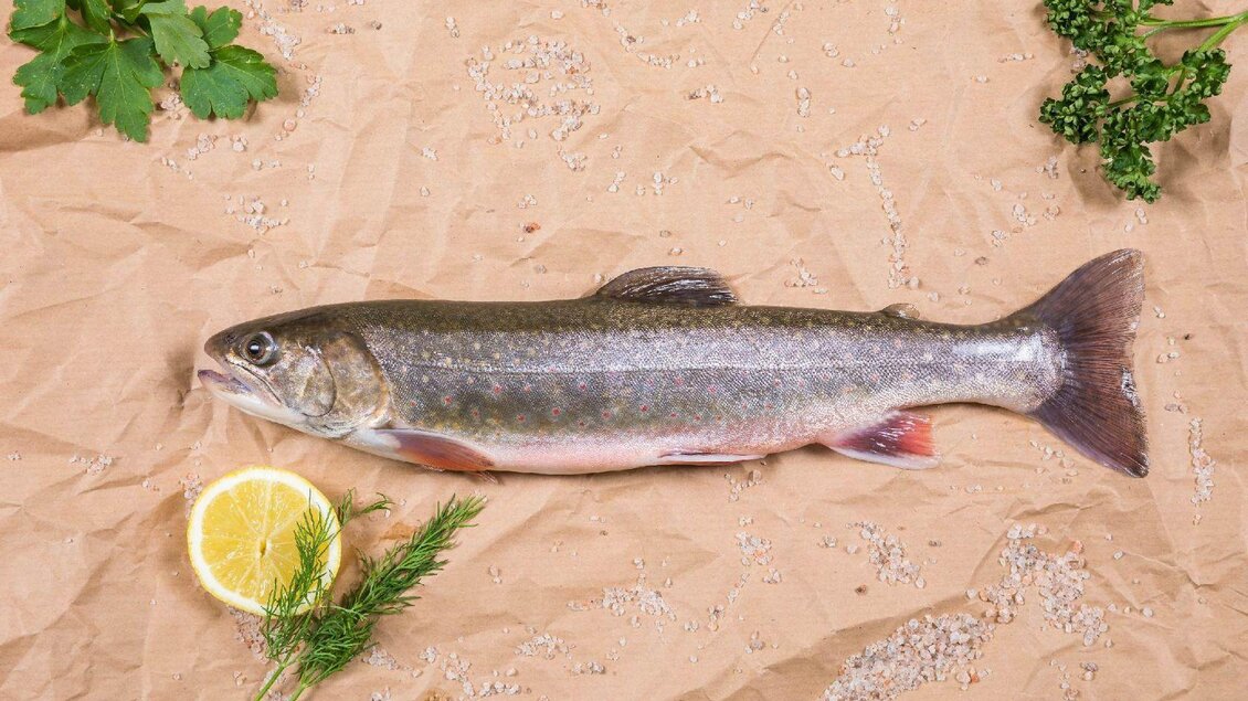 Ein frischer Fisch liegt auf braunem Papier. Neben ihm sind Zitronenscheiben und Kräuter platziert. | © Fischerei Ausseerland/Martin Huber