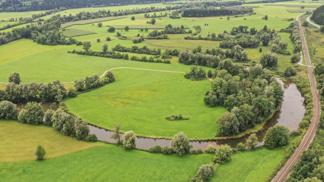 Eine schöne Landschaft mit grünen Wiesen und einem Fluss, der sich geschwungen durch die Landschaft schlängelt. Im Hintergrund sind sanfte Hügel und Bäume zu sehen. | © Fischereiverein Irdning