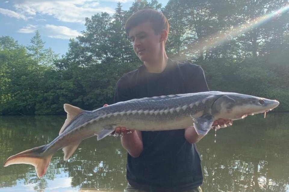 Fischerparadies Nebelteich - Impression #1 | © EJZ