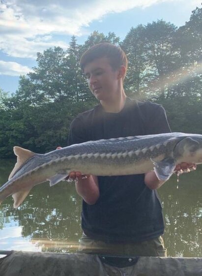 Stör | TV Südsteiermark | © EJZ