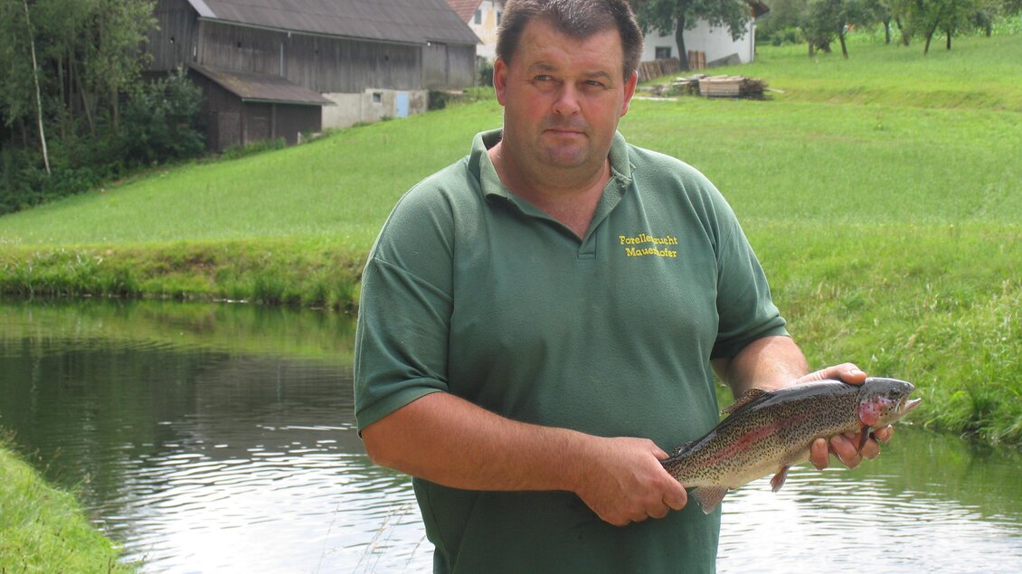 Forellenzucht Mauerhofer_Franz_Oststeiermark | © Forellenzucht Mauerhofer
