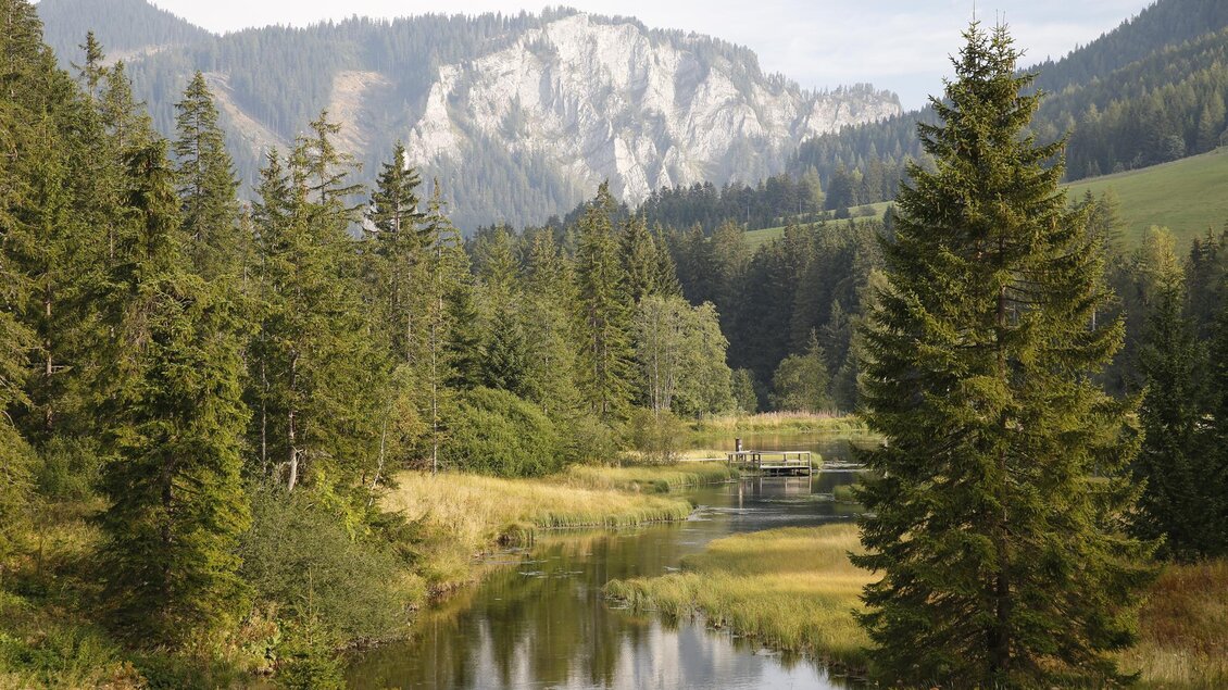 ForellenzuchtWuitz-Teich-Murtal-Steiermark | © Erlebnisregion Murtal