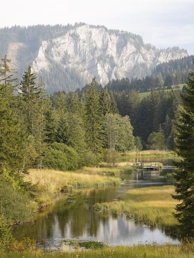ForellenzuchtWuitz-Teich-Murtal-Steiermark | © Erlebnisregion Murtal
