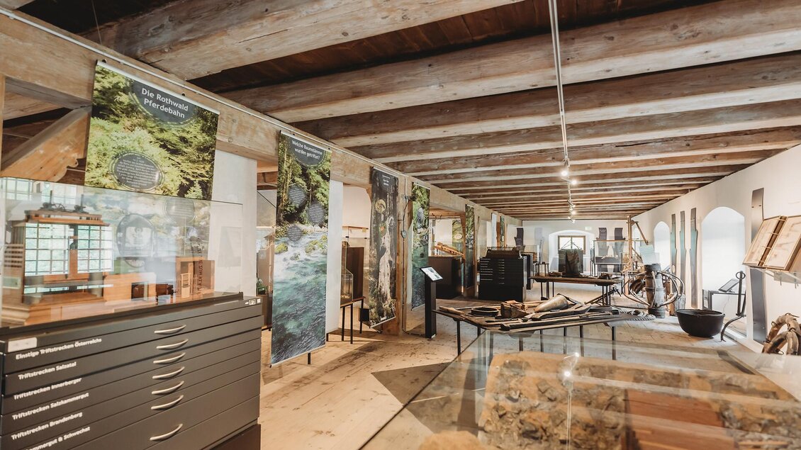 Ein Museum mit holzverkleideten Decken und verschiedenen Ausstellungsgegenständen. An den Wänden hängen informative Plakate über die Natur.