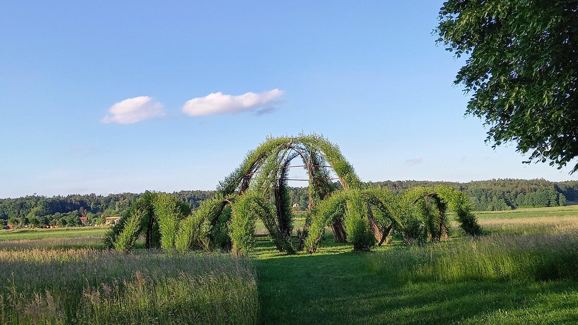 Eine grüne Skulptur aus Weidenbäumen steht auf einer Wiese. Im Hintergrund sind sanfte Hügel und ein blauer Himmel mit einigen Wolken zu sehen. | © Thermen- & Vulkanland