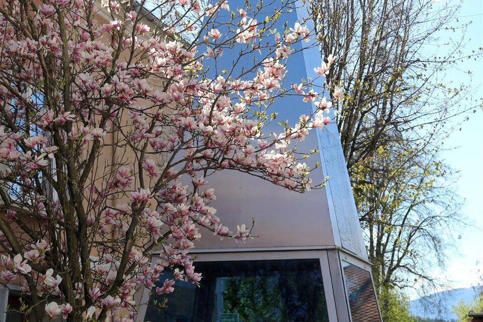 Foucault pendulum - Impression #1