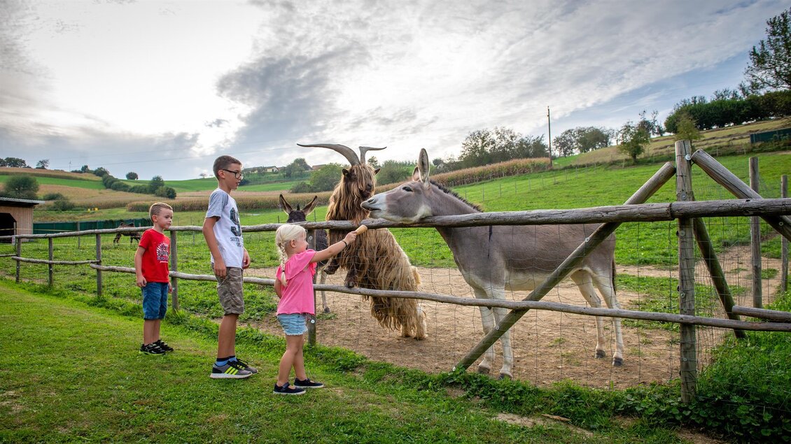 Franziskus Tier-Erlebnisbauernhof - Impressionen #2.7