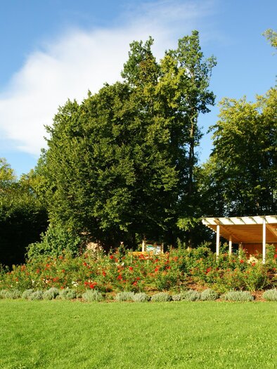 Schlosspark_Freiluftklassenzimmer_Oststeiermark | © Franz Grabenhofer