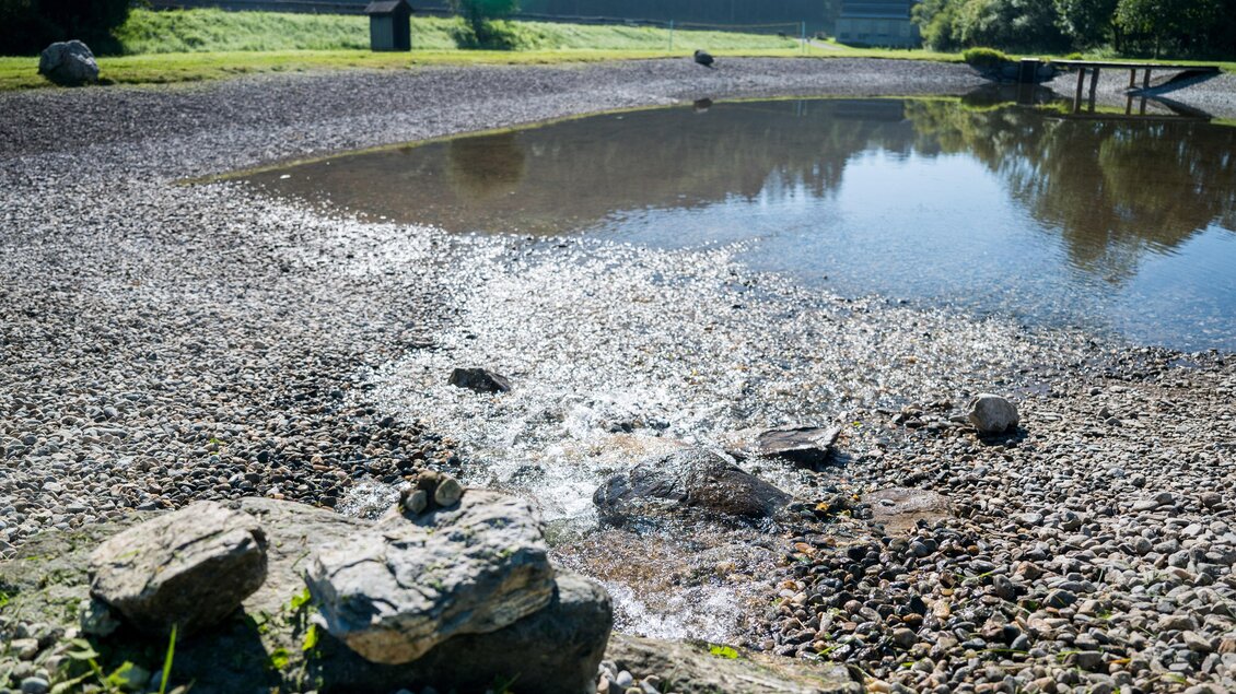 FreizeitanlageMöderbrugg-Anlage8-Murtal-Steiermark | © Anita Fössl