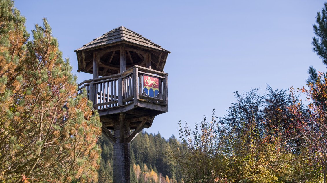 Ein Aussichtsturm aus Holz steht in einer grünen Landschaft. Die Umgebung ist farbenfroh mit Bäumen und Sträuchern. | © Anita Fössl