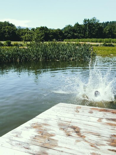 Sprung vom Steg in den Badeteich | © Lupi Spuma | Lupi Spuma | © Lupi Spuma