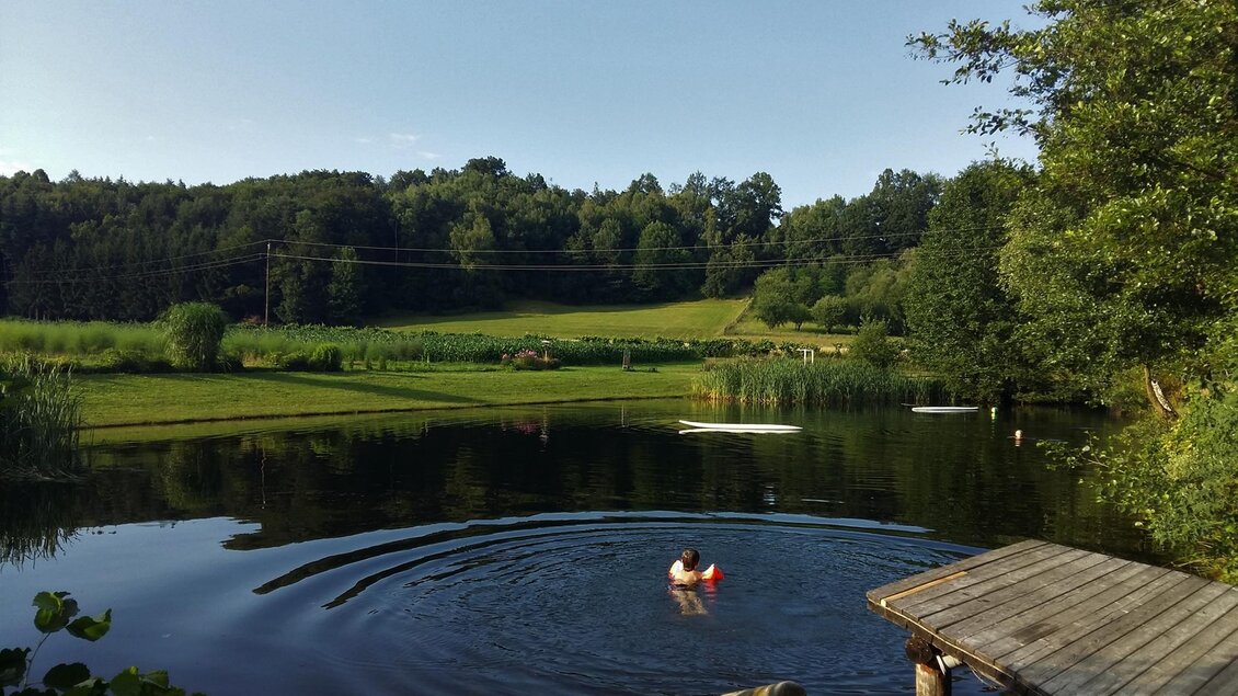 Schwimmen inmitten der Natur | © Rauch-Hof