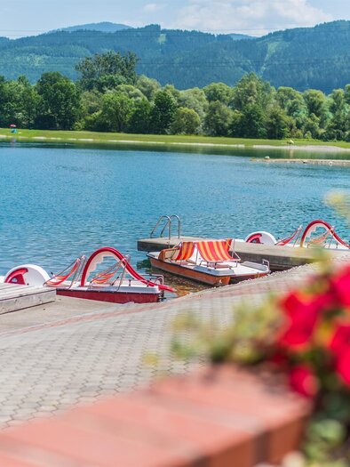 A calm lake with docking stations and surrounded by lush greenery. In the foreground, blooming plants add color to the scene. | © Freizeitanlage Zechner