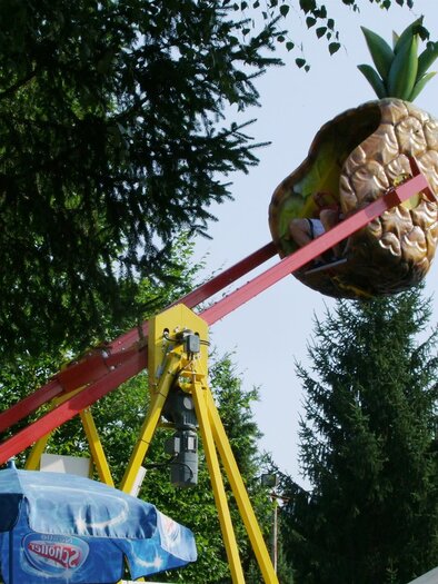 Amusement park_Joungel Pineapple_Eastern Styria | © Freizeitpark Stubenbergsee
