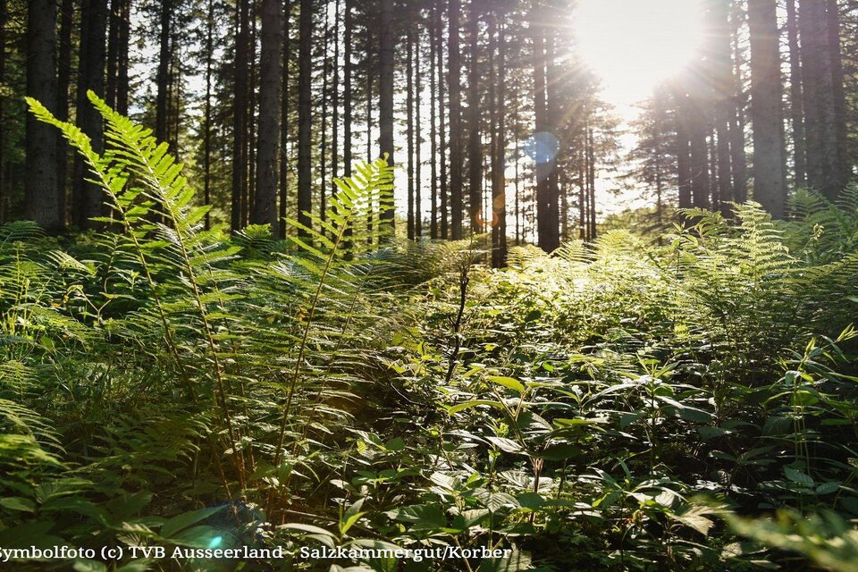 Hairdresser Soder Michaela - Impression #1 | © TVB Ausseerland Salzkammergut_Jacquline Korber
