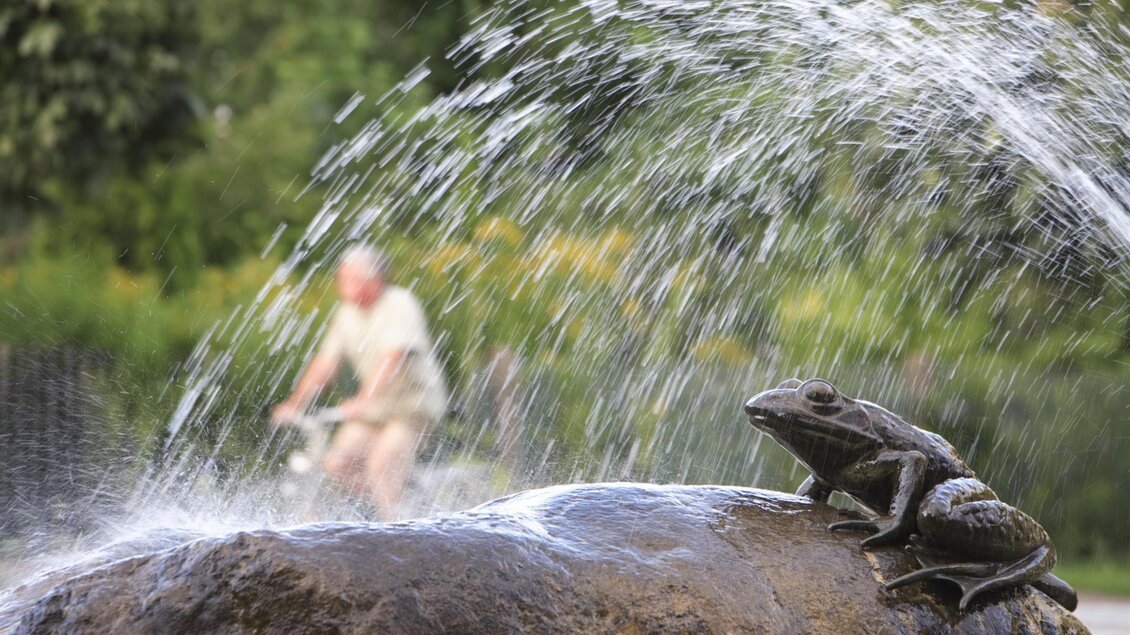 Eine Statue eines Frosches sitzt auf einem Stein, während Wasserfontänen sprudeln. Im Hintergrund fährt ein älterer Mann mit dem Fahrrad. | © Bernhard Bergmann