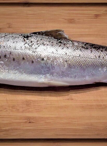 Fruhmann-Forelle-Murtal-Steiermark | Pixabay | © Pixabay