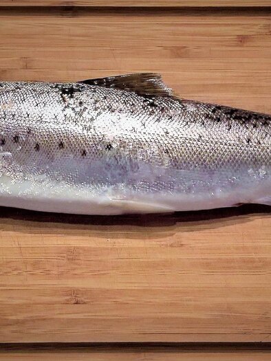 Fruhmann-Forelle-Murtal-Steiermark | © Pixabay