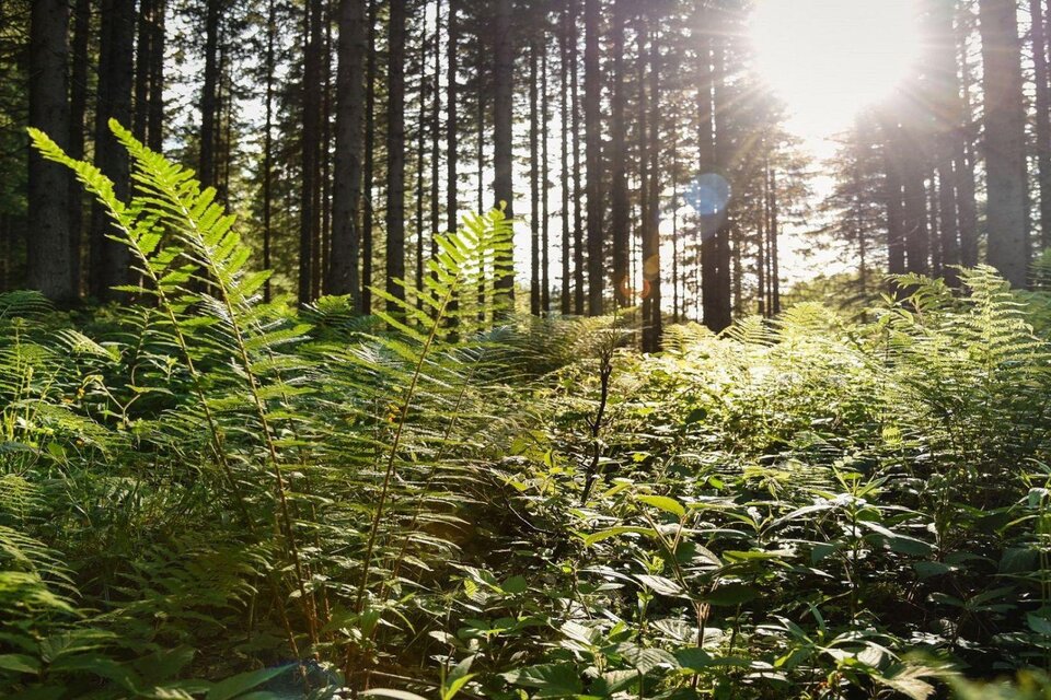 Pedicure - Ingeborg Duchkowitsch - Impression #1 | © Jacqueline Korber