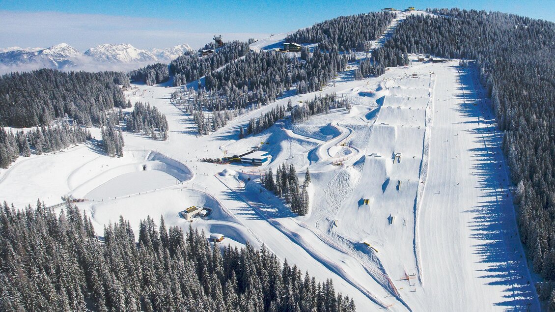 Eine malerische Winterlandschaft mit schneebedeckten Pisten und dichten Tannenwäldern. Der Himmel ist klar und blau, ideal zum Skifahren. | © Johannes Absenger