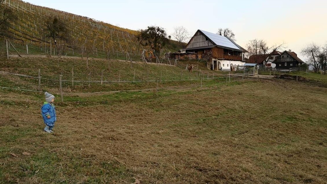 Ein kleines Kind in einem blauen Anzug steht auf einer Wiese. Im Hintergrund sind ein Bauernhaus und Weinreben zu sehen. | © Gaber Patrick Weine