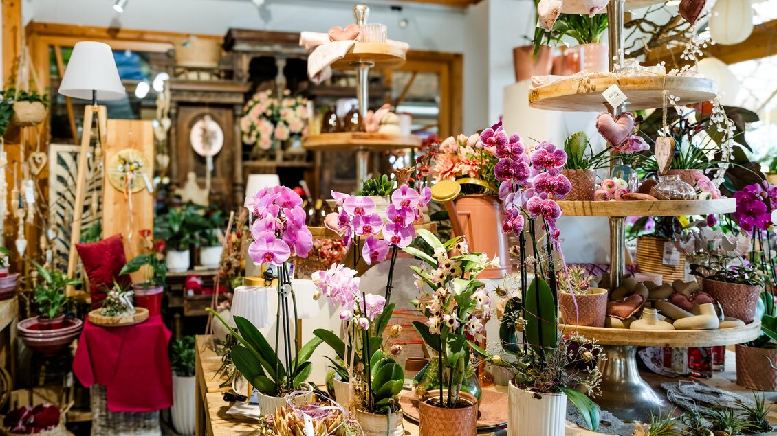 Zimmerpflanzen und Orchideen | © Region Graz-Mias Photoart