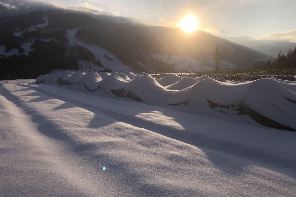 Vegetable poxes Schladming-Dachstein - Impression #1 | © Garten am Berg